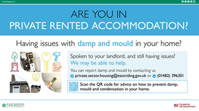 Damp & Mould